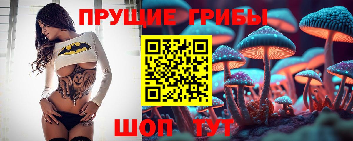 Елабуга  Псилоцибиновые грибы прущие грибы  Вход с VPN 